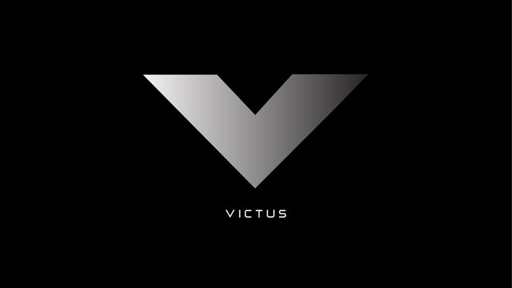 HP Victus(i5 14th Gen) - Image 6